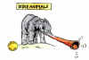 elefant.jpg (58499 Byte)
