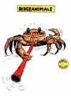 krabbe.jpg (83263 Byte)