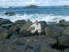 teneriffa 8.jpg (687372 Byte)