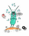 plankton.jpg (56049 Byte)